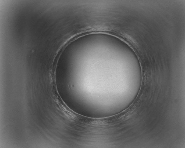 X0000073831212200608240942