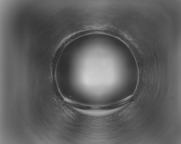 X0000073831214200608240942