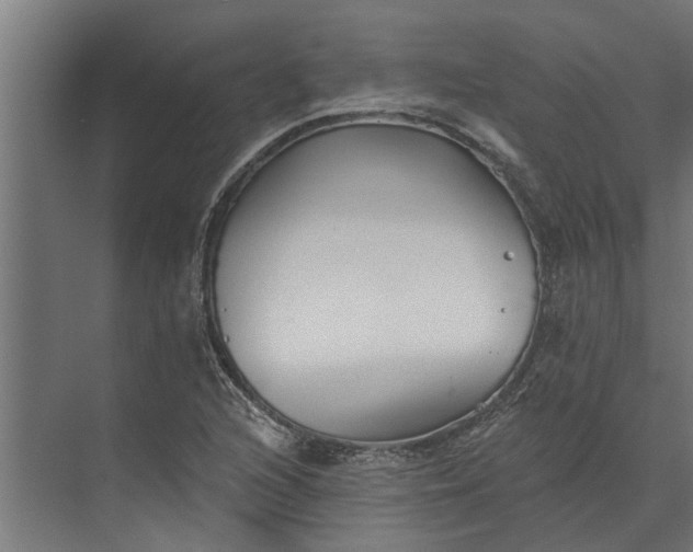 X0000073831216200608240942