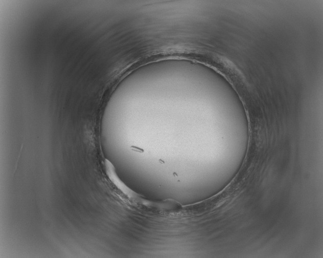 X0000073831217200608240942