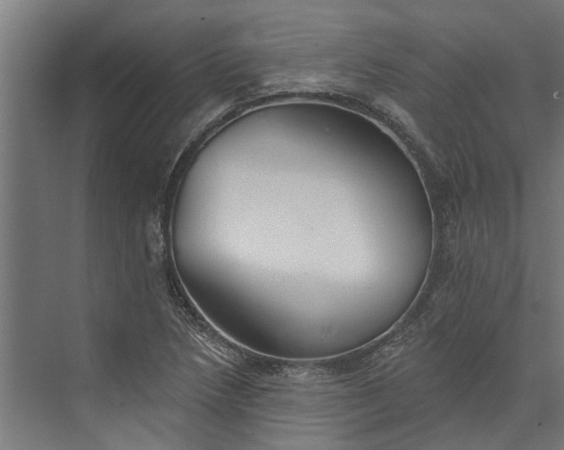 X0000073831218200608240942