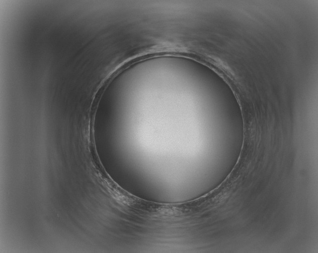 X0000073831220200608240942