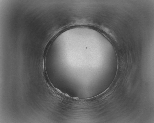 X0000073831221200608240942