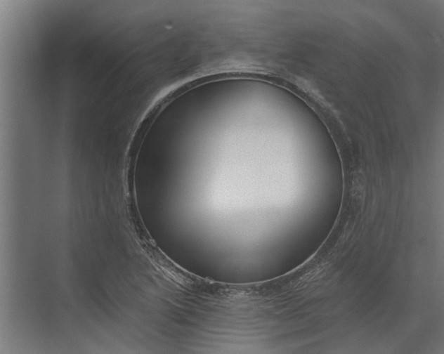 X0000073831222200608240942