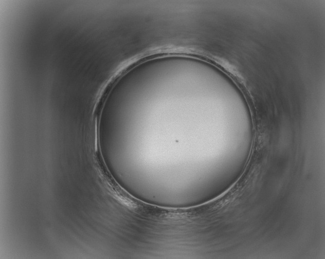 X0000073831223200608240942