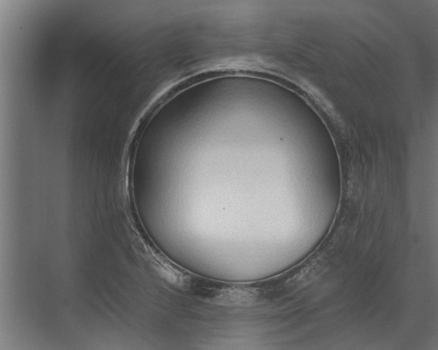 X0000073831224200608240942