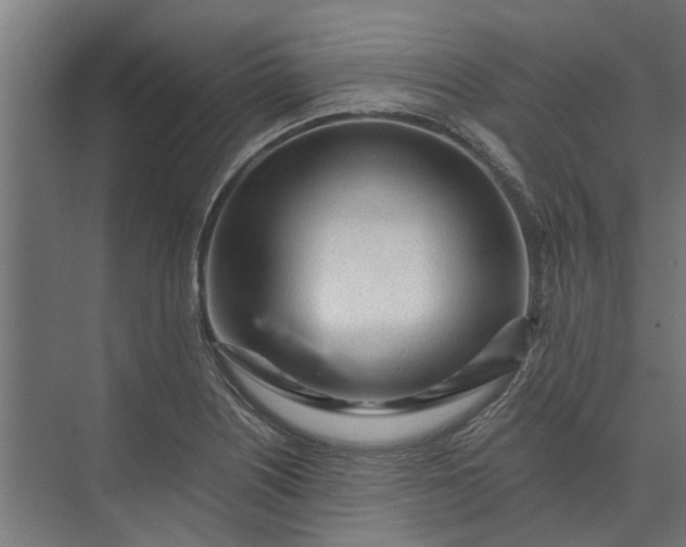 X0000073831226200608240942