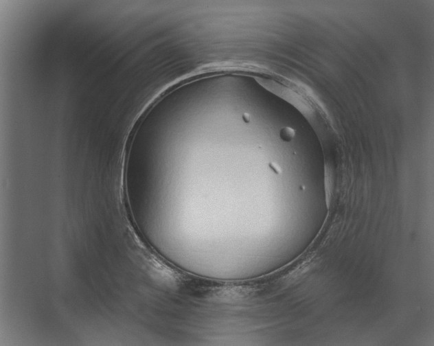 X0000073831228200608240942