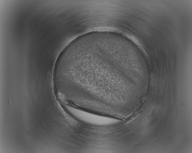 X0000073831229200608240942