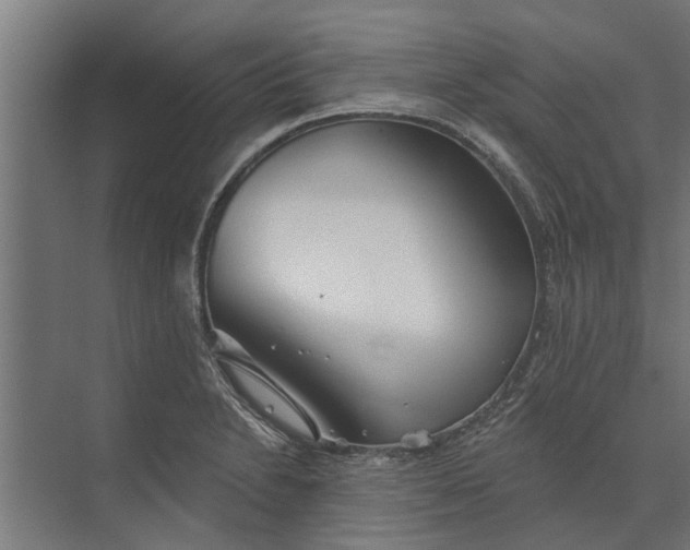 X0000073831230200608240942