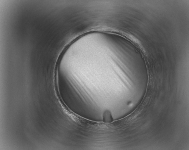 X0000073831231200608240942