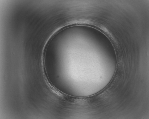 X0000073831232200608240942