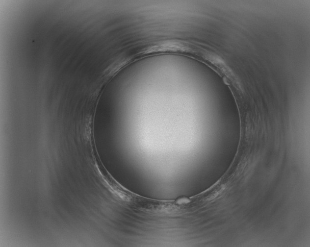 X0000073831233200608240942