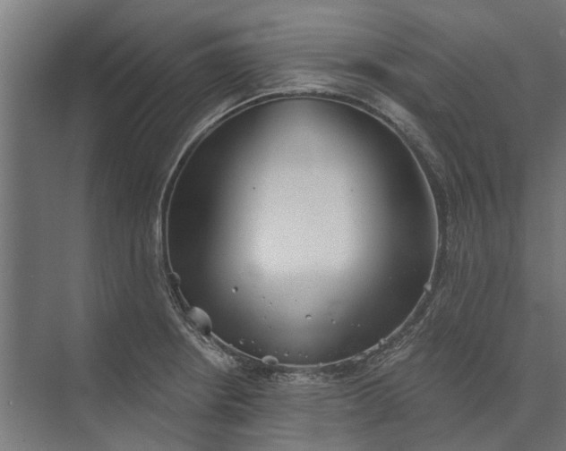 X0000073831234200608240942