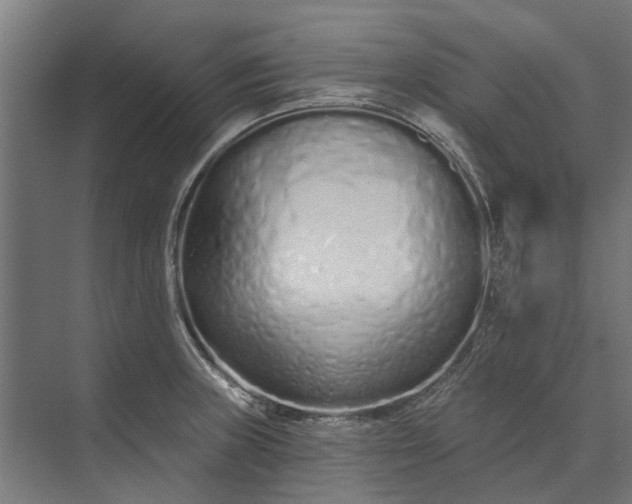 X0000073831235200608240942