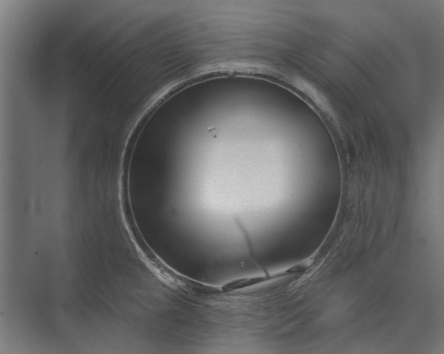 X0000073831237200608240942