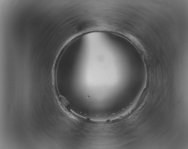 X0000073831238200608240942