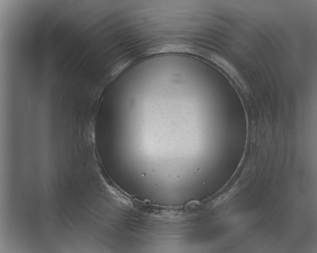 X0000073831241200608240942