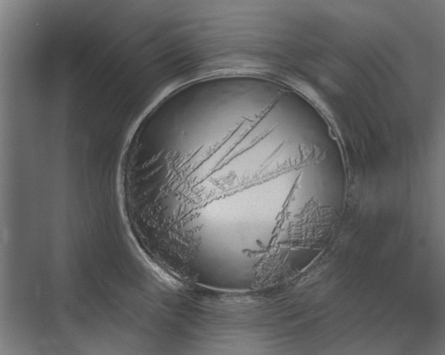 X0000073831243200608240942