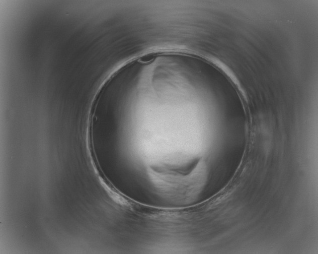 X0000073831245200608240943