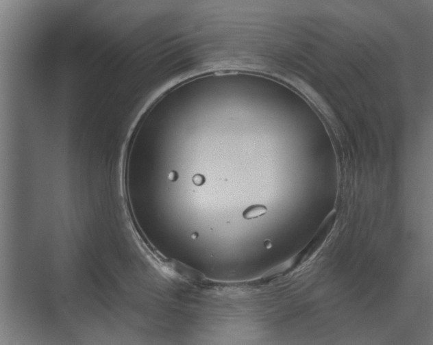 X0000073831246200608240943