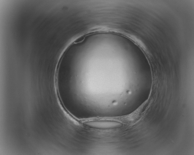 X0000073831247200608240943