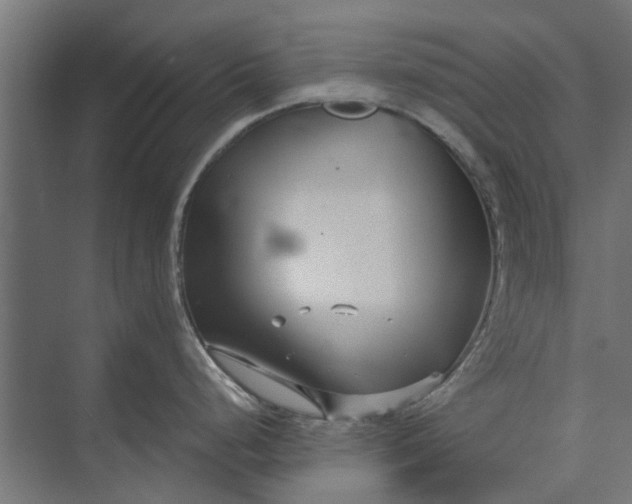 X0000073831248200608240943