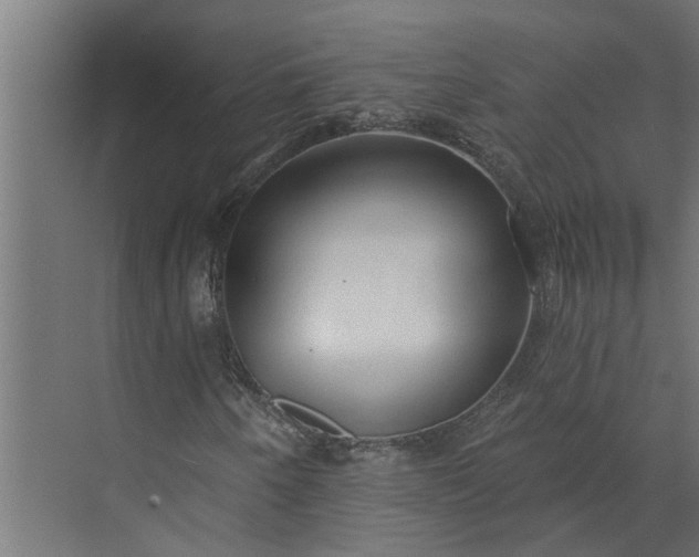 X0000073831250200608240942