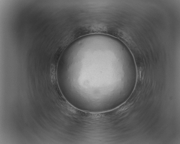 X0000073831251200608240942