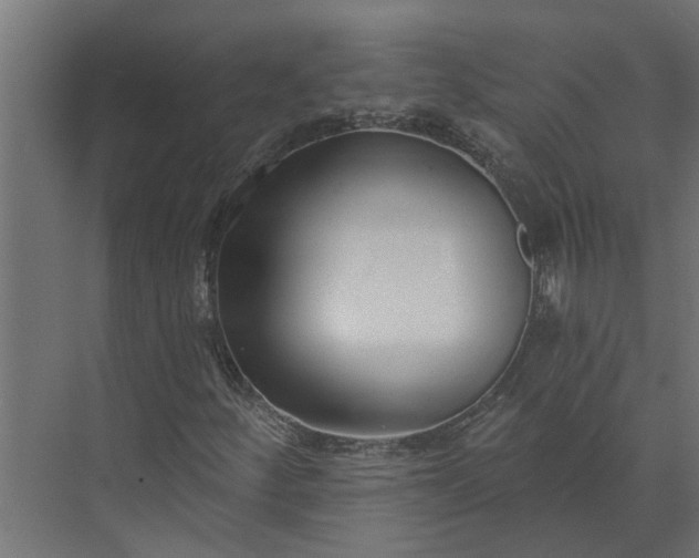 X0000073831252200608240942