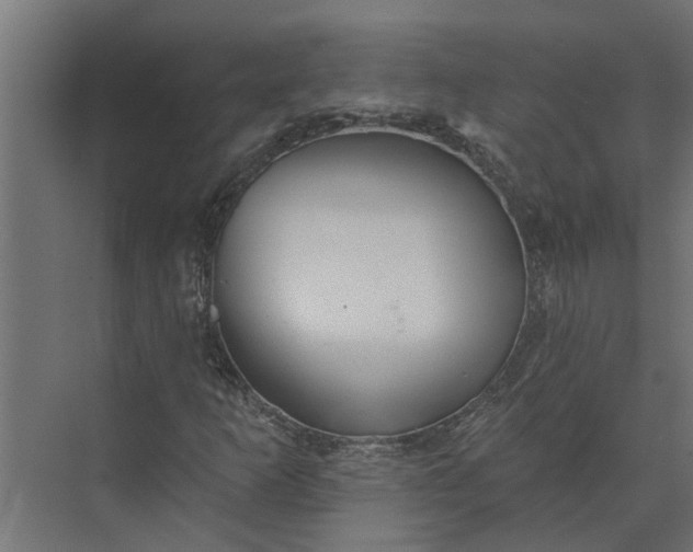 X0000073831253200608240942