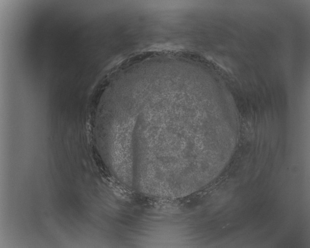 X0000073831254200608240942