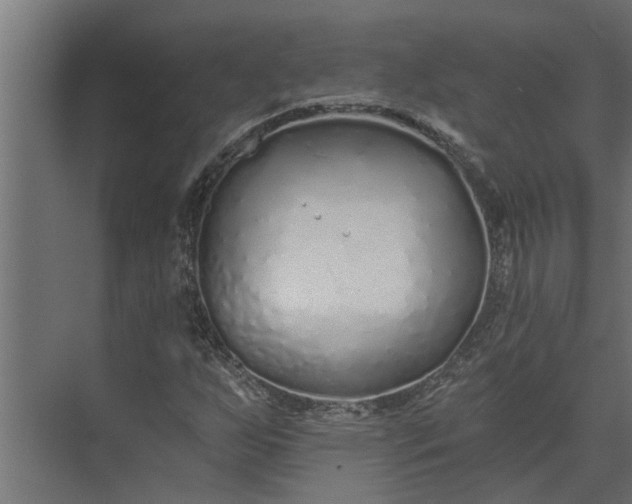 X0000073831255200608240942