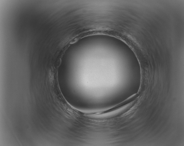 X0000073831257200608240942