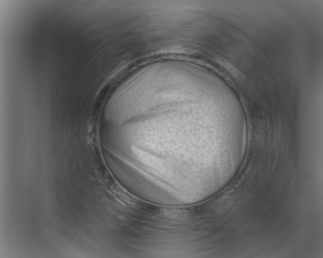 X0000073831258200608240942