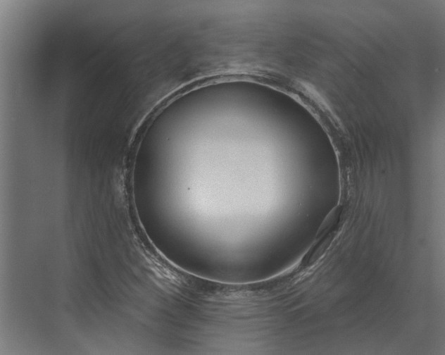 X0000073831260200608240942