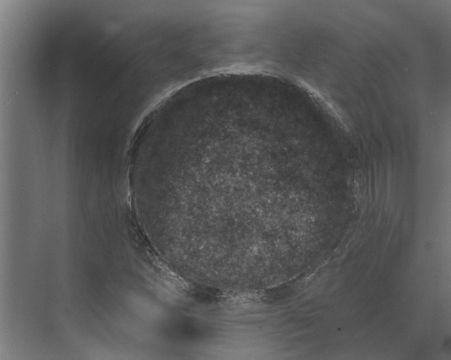 X0000073831262200608240942