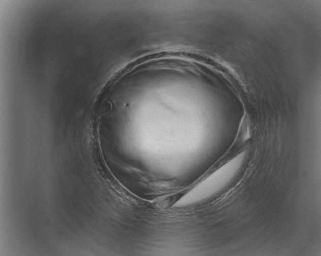 X0000073831263200608240942