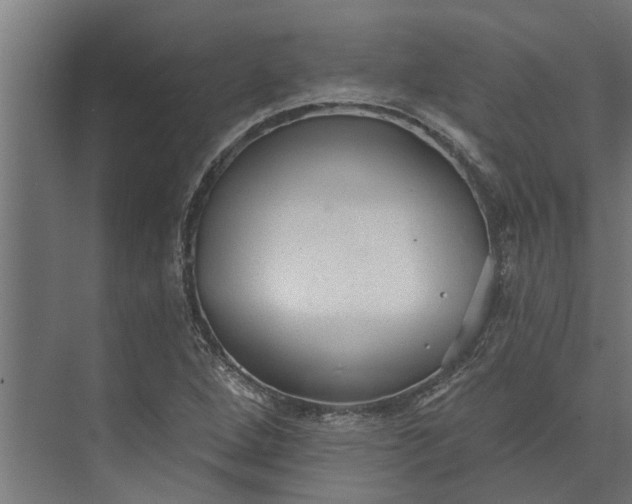 X0000073831264200608240942