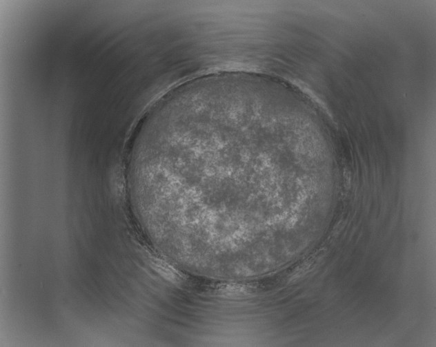 X0000073831266200608240941