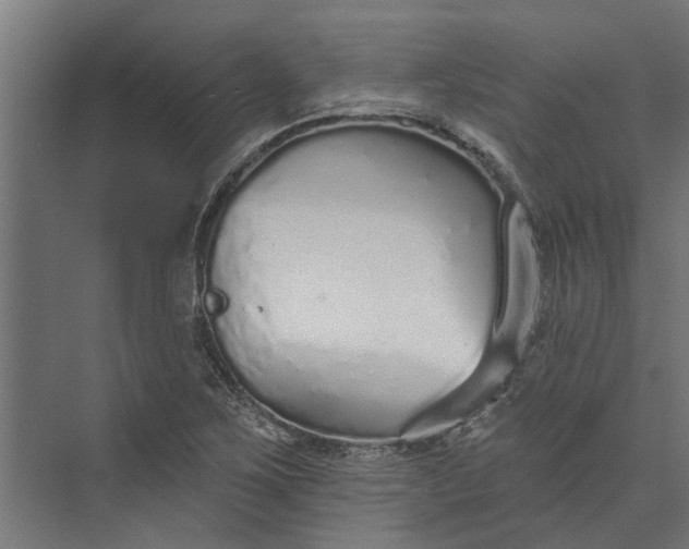 X0000073831267200608240941