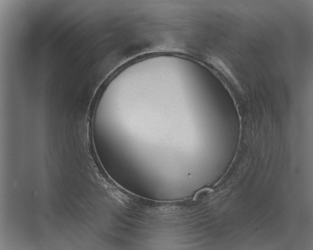 X0000073831268200608240941