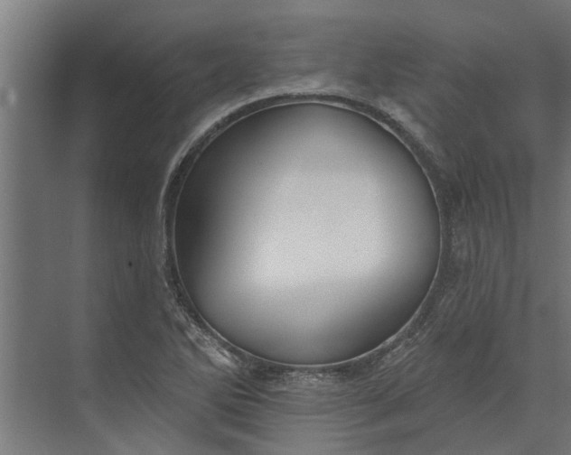 X0000073831270200608240941