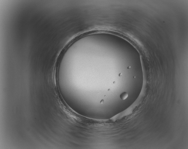 X0000073831272200608240941