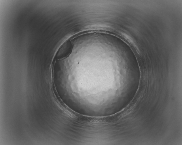 X0000073831275200608240941