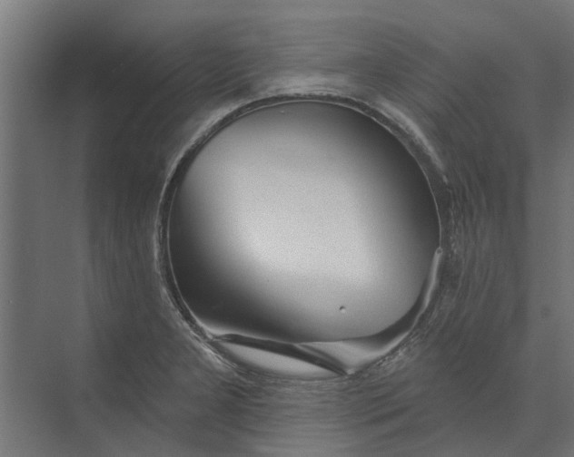 X0000073831277200608240941