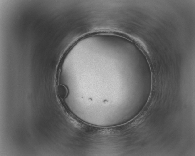 X0000073831279200608240941