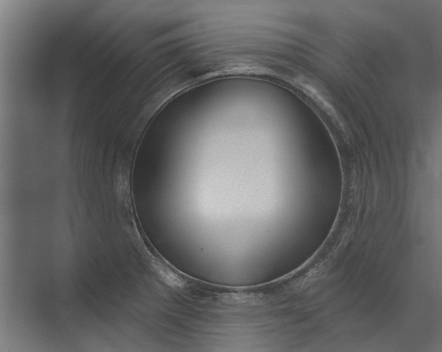 X0000073831281200608240941