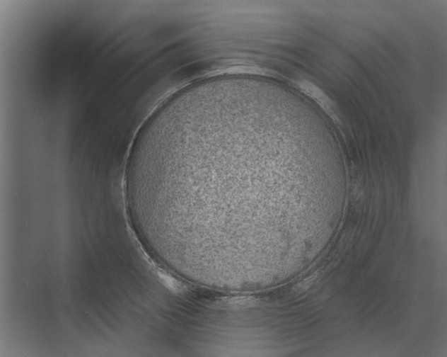 X0000073831282200608240941