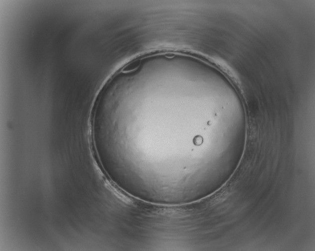 X0000073831287200608240941